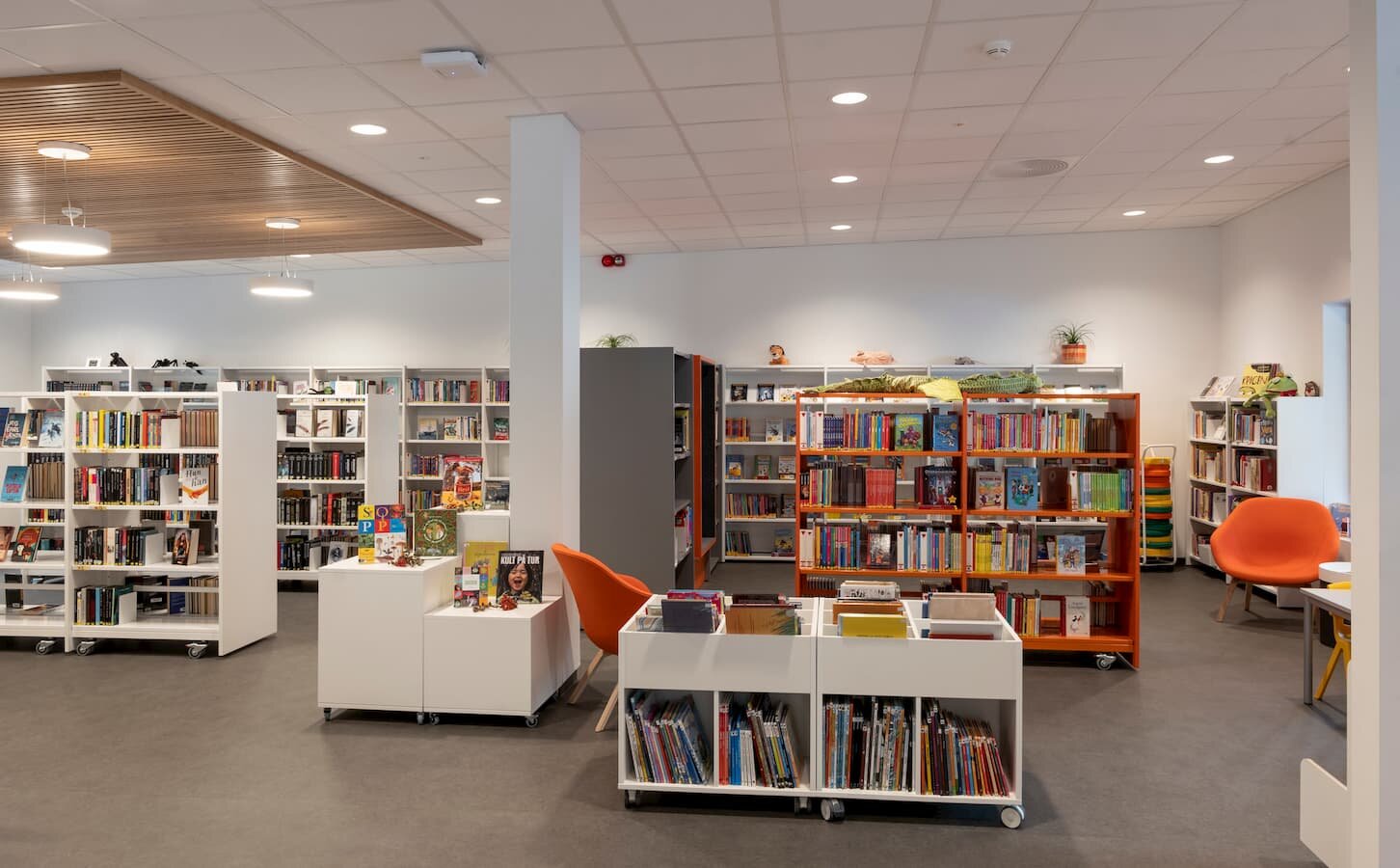 Audnedal bibliotek