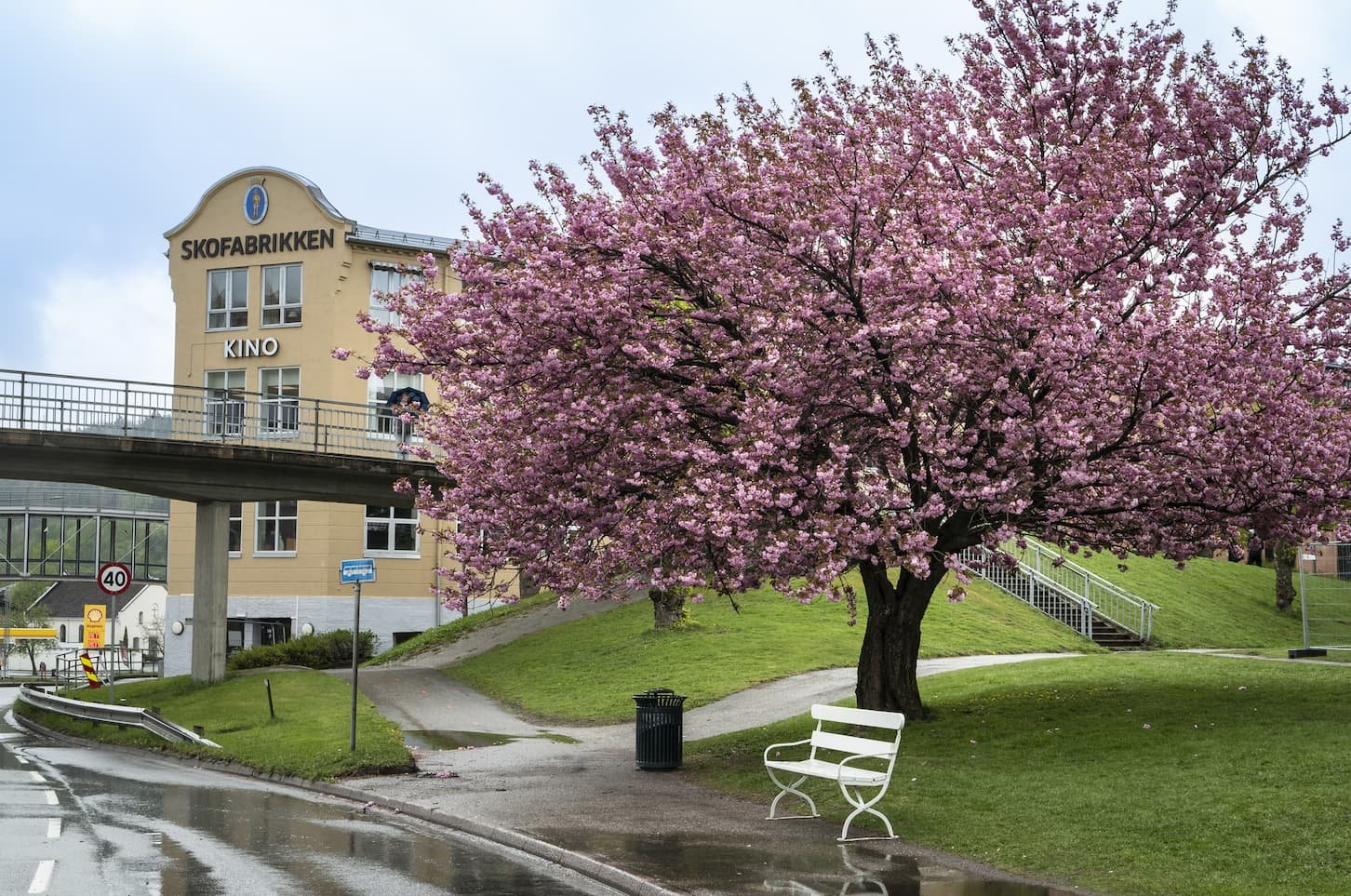 Halden bibliotek