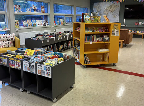 Bjørndal skole, skolebiblioteket