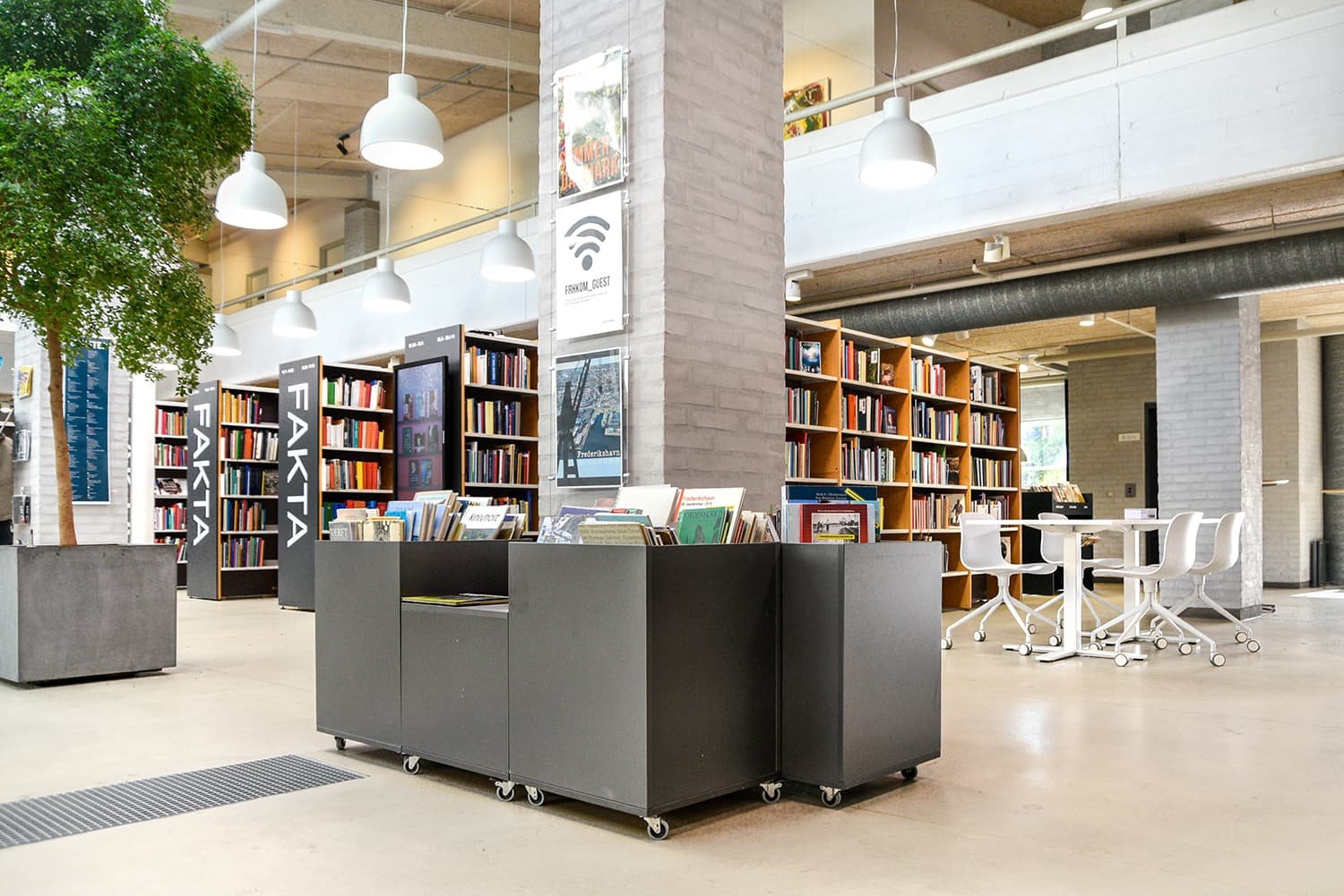Frederikshavn bibliotek, Danmark