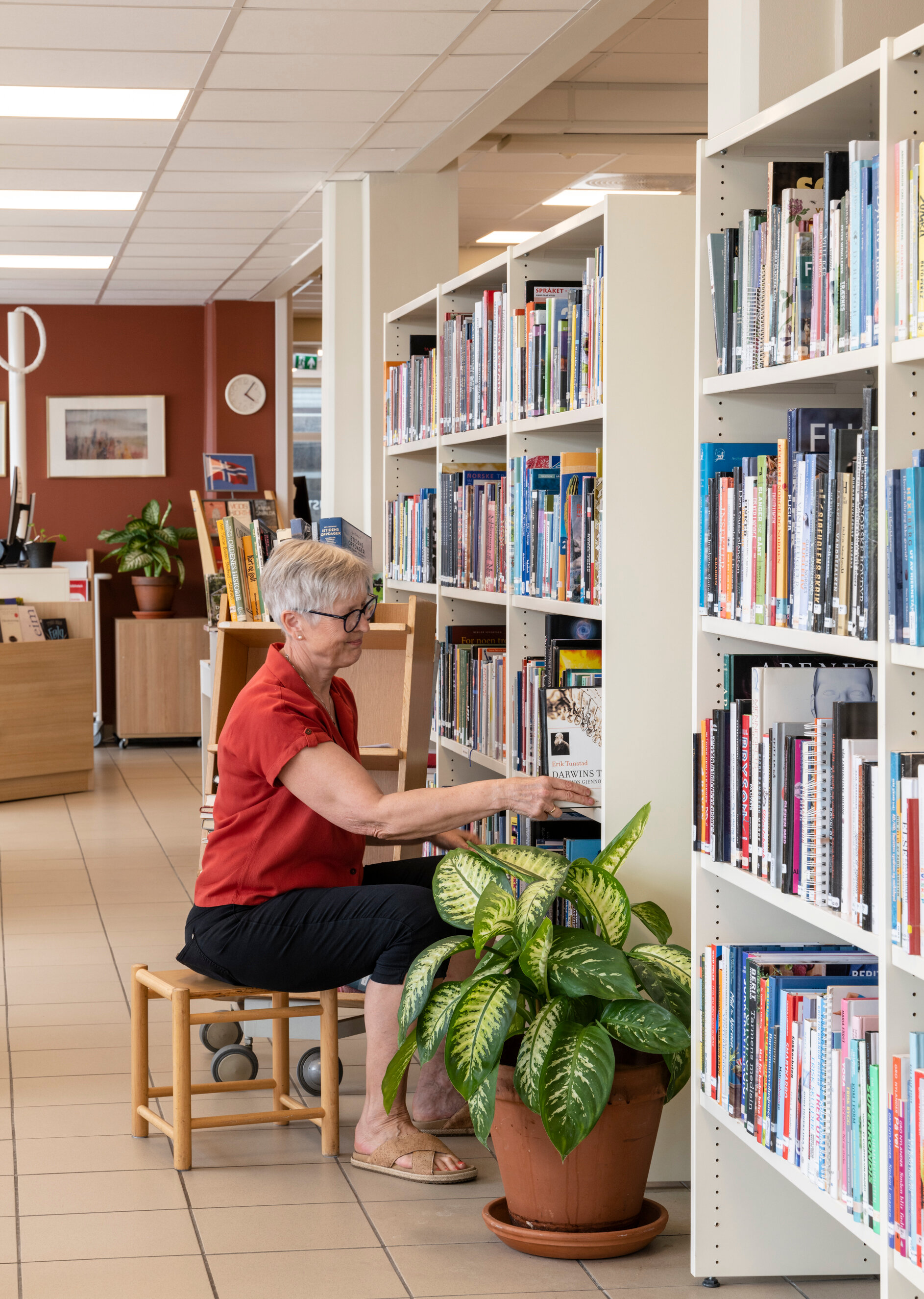 Hustadvika bibliotek, Elnesvågen