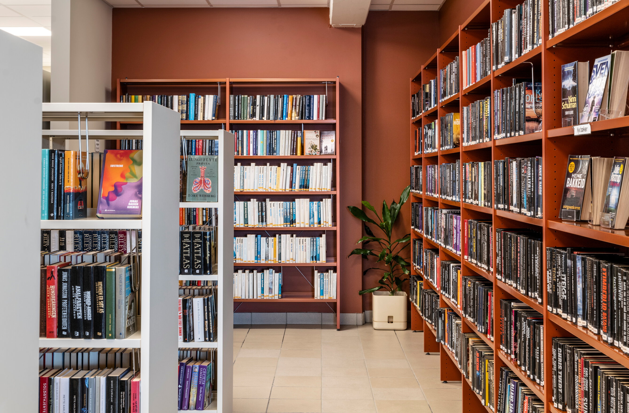 Hustadvika bibliotek, Elnesvågen