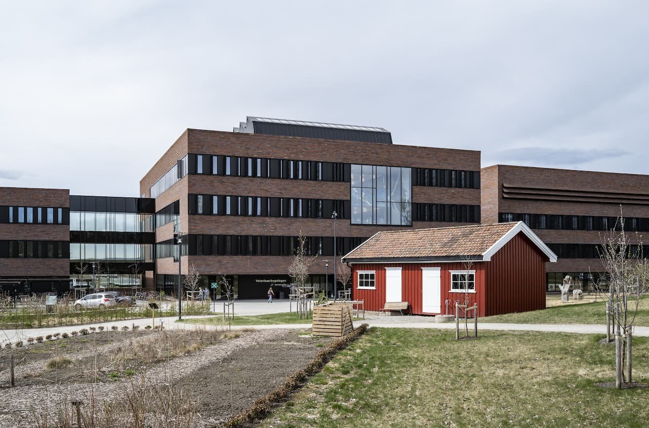 Larvik bibliotek